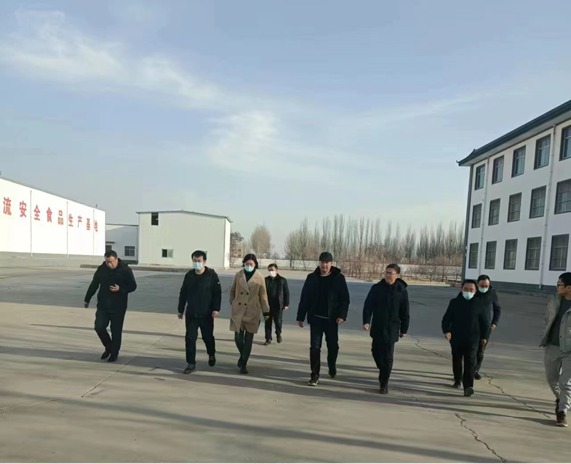 石嘴山市副市長、惠農(nóng)區(qū)委書記王宇翔蒞臨寧夏興康恒潤農(nóng)業(yè)科技發(fā)展有限公司調(diào)研