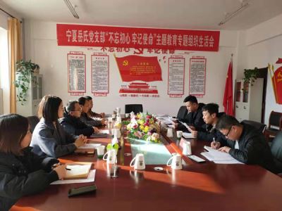 寧夏岳氏黨支部召開“不忘初心，牢記使命”主題教育專題組織生活會